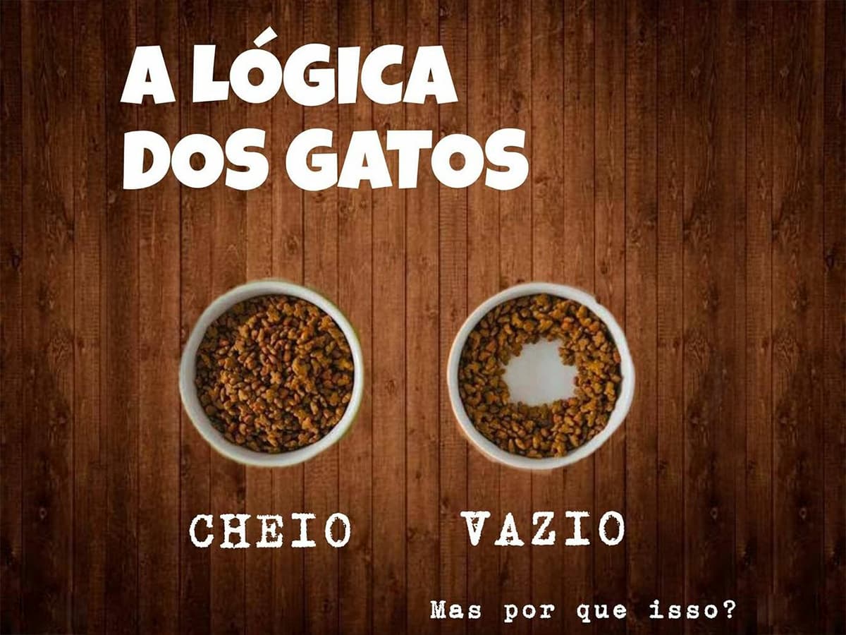 A Lógica dos Gatos