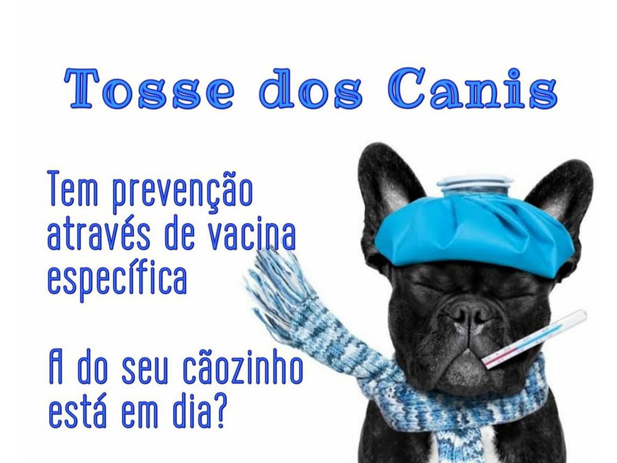 Tosse dos Canis